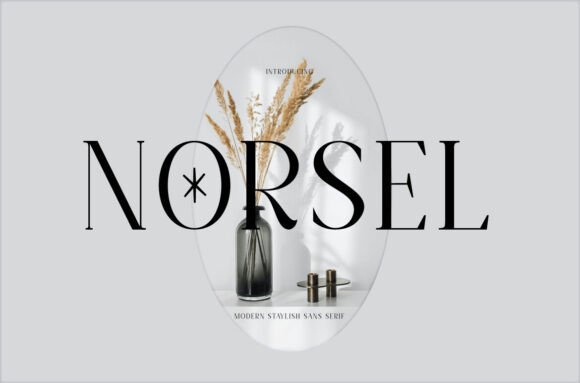 Norsel: A Designer’s Real-World Typeface Review